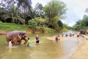 푸켓: 코끼리 데이 케어와 함께하는 츄란 호수 하룻밤