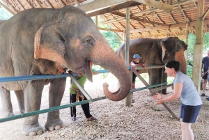 푸켓: 코끼리 데이 케어와 함께하는 츄란 호수 하룻밤