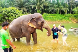 푸켓: 코끼리 데이 케어와 함께하는 츄란 호수 하룻밤