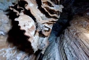 푸켓: 코끼리 데이 케어와 함께하는 츄란 호수 하룻밤