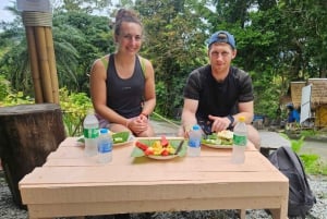 Phuket: lo más destacado de la ciudad y santuario de elefantes con almuerzo