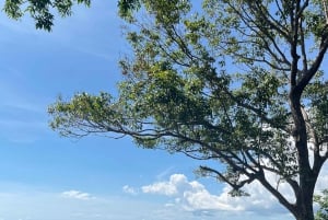 Phuket: półdniowa wycieczka z przewodnikiem po najważniejszych atrakcjach miasta