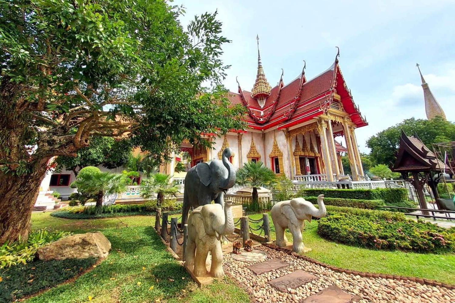Stadsrondleiding Phuket met nachtmarktbezoek & olifanten voeren