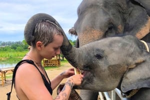 Visite nocturne de la ville de Phuket avec visite du marché nocturne et nourrissage des éléphants