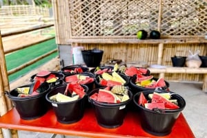 Visite nocturne de la ville de Phuket avec visite du marché nocturne et nourrissage des éléphants