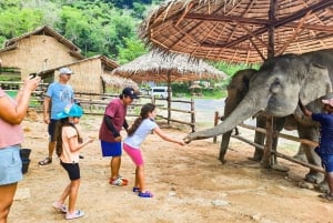 Visite nocturne de la ville de Phuket avec visite du marché nocturne et nourrissage des éléphants