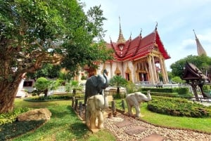 Stadsrondleiding Phuket met nachtmarktbezoek & olifanten voeren