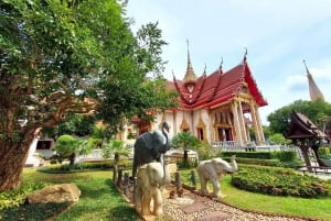 Stadsvandring i Phuket med utsiktsplatser, tempel och elefantmatning