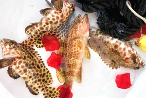 Phuket: Korallit ja Racha-saaret -jahdttretki lounaalla