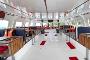 Phuket: Katamaran-cruise til Coral- og Racha-øyene og grillingfest