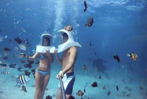 Phuket: Katamaran-cruise til Coral- og Racha-øyene og grillingfest