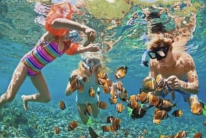 Phuket: Katamaran-cruise til Coral- og Racha-øyene og grillingfest