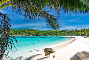 Phuket: Snorklingtur til Coral- og Racha-øyene med lunsj