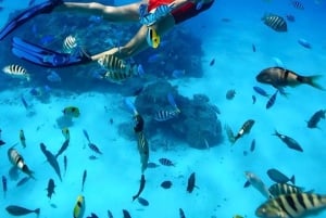 Phuket: Katamarantur med lunsj i korall- og Racha Islands-øyene