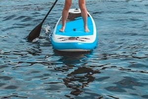 Phuket: Katamarantur med lunsj i korall- og Racha Islands-øyene