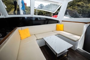 Phuket: Coral and Racha lslands Catamaran Tour with Lunch