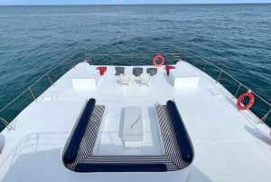 Phuket: Isola dei Coralli in catamarano con cena al tramonto