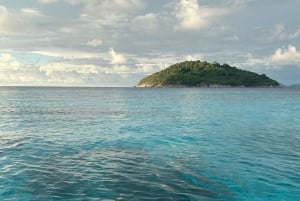 Phuket: Isola dei Coralli in catamarano con cena al tramonto