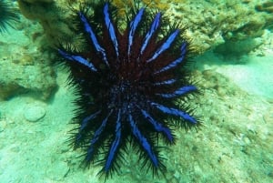 Phuket: Isola dei Coralli in catamarano con cena al tramonto