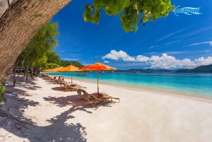 Phuket: Coral Island-tour van een halve dag per speedboot