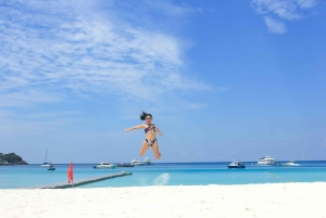 Phuket: Coral Island-tour van een halve dag per speedboot