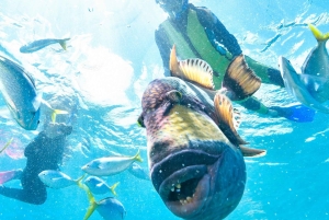 Phuket: Coral Island 'Lazy Day' Speedboat Tour