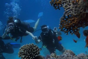 Phuket: Coral Island Snorkeling and Water Activities Trip