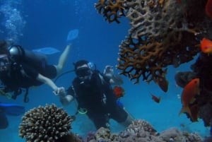 فوكيت: رحلة الغطس والأنشطة المائية في جزيرة المرجان