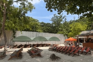 Phuket: Korallisaari snorklausta & Promthep-auringonlaskun illallinen