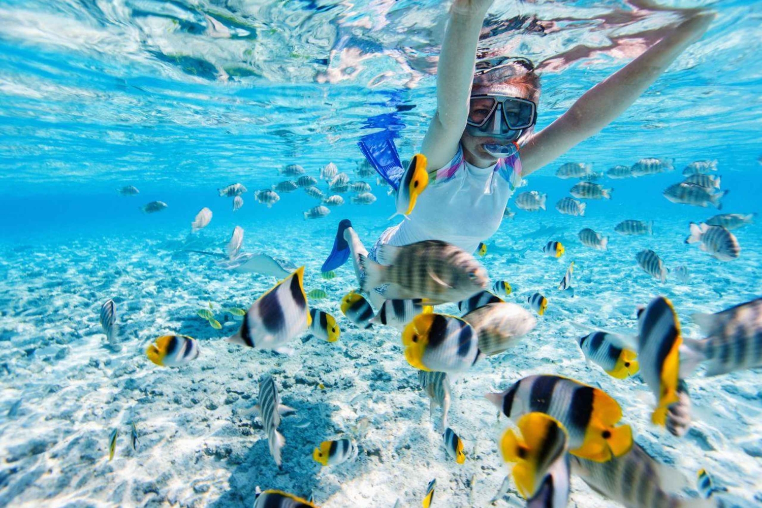 Phuket: Rundtur till korallöarna och undervattenspromenad