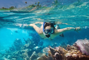 Phuket : Visite privée en catamaran de luxe de l'île de Corail ou de l'île de Maiton