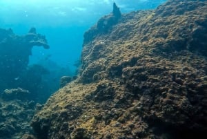 Phuket: buceo en un arrecife de coral en una playa inmaculada