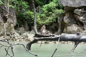 Пхукет: день на островах, приключения на каяках
