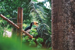 Phuket: Dagsudflugt til Banana Beach Koh Hey med speedbåd