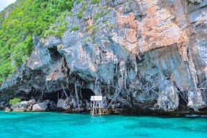 Phuket: Tagestour zu den Phi Phi, Maya und James Bond Inseln