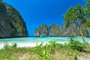 Phuket: Tagestour zu den Phi Phi, Maya und James Bond Inseln