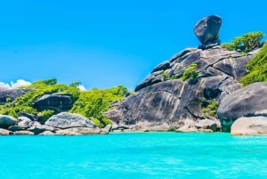 Phuket : Excursion d'une journée sur l'île Similan en catamaran rapide