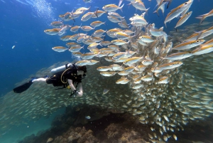 Phuket: Entdecken Sie das Tauchen auf der Insel Racha Yai