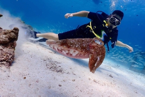 Phuket: Entdecken Sie das Tauchen auf der Insel Racha Yai