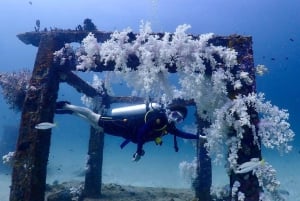 Phuket: Entdecken Sie das Tauchen auf der Insel Racha Yai