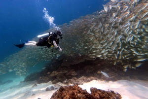 Phuket: Entdecken Sie das Tauchen auf der Insel Racha Yai