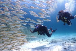 Phuket: Scopri le immersioni subacquee all'isola di Racha Yai
