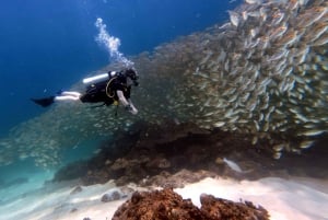 Phuket: Scopri le immersioni subacquee all'isola di Racha Yai