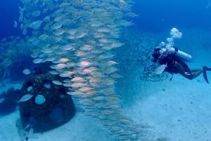 Phuket: Scopri le immersioni subacquee all'isola di Racha Yai