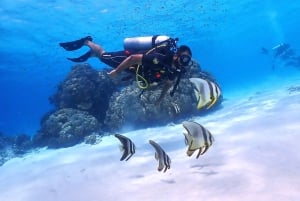 Phuket: Scopri le immersioni subacquee all'isola di Racha Yai