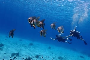 Phuket: Scopri le immersioni subacquee all'isola di Racha Yai