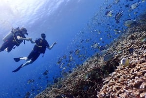 Phuket: Scopri le immersioni subacquee all'isola di Racha Yai
