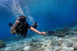 Phuket: Scopri le immersioni subacquee all'isola di Racha Yai