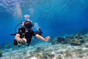 Phuket: Scopri le immersioni subacquee all'isola di Racha Yai