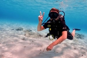 Phuket: Scopri le immersioni subacquee all'isola di Racha Yai